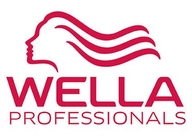 LogoWella